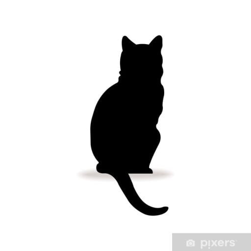 Kedi