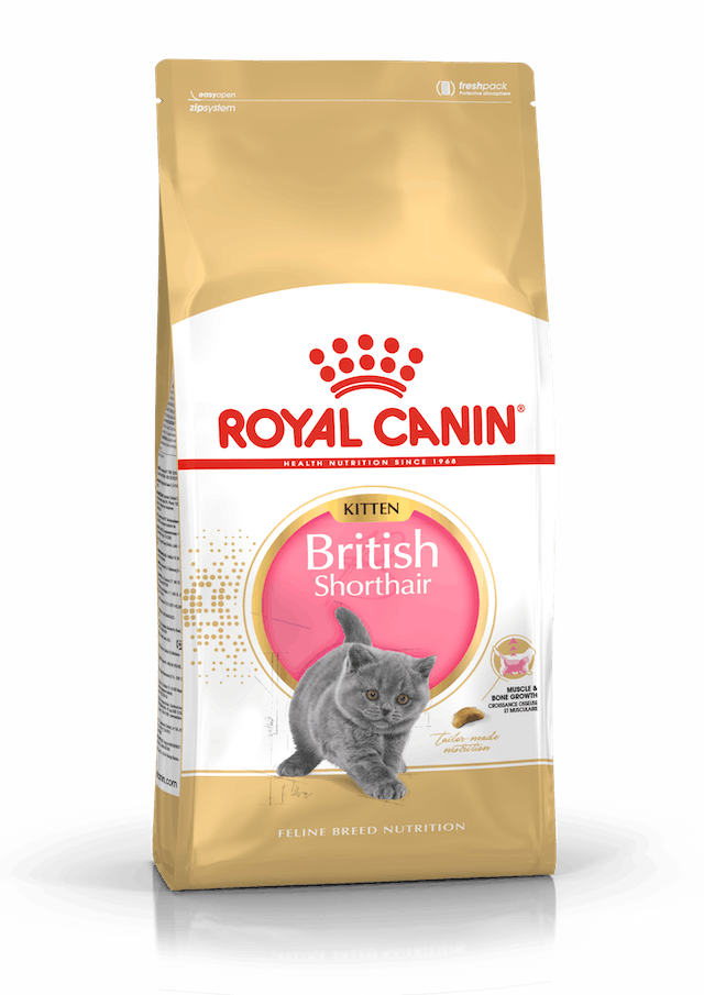 Royal Canin British Shorthair Kitten Kedi Kuru Maması 2 Kg