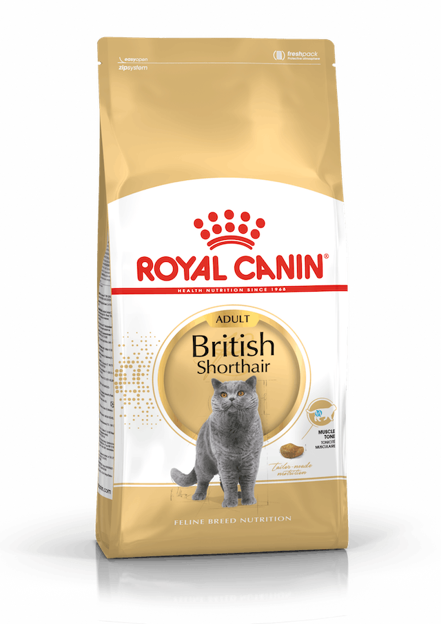 Royal Canin British Shorthair Adult Kedi Kuru Maması 2 Kg