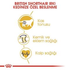 Royal Canin British Shorthair Adult Kedi Kuru Maması 2 Kg