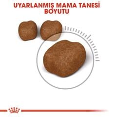 Royal Canin Dental Care 1.5 Kg Yetişkin Kuru Kedi Maması