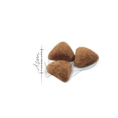 Royal Canin Indoor Ev Kedileri için Kedi Maması 2 Kg