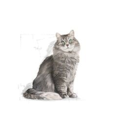 Royal Canin Sensible Hassas Kedi Maması 15 Kg