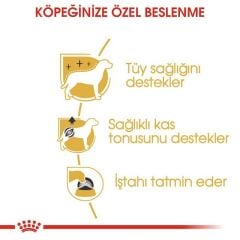 Royal Canin Poodle Yetişkin Pouch Yaş Köpek Maması 85 Gr (12 Adet x 85 gr)