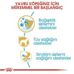 ROYAL CANIN POODLE JUNIOR KÖPEK MAMASI 3 KG