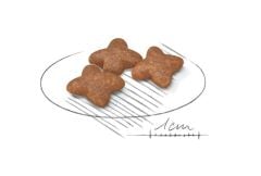 Royal Canin Mini Adult Köpek Maması 2 Kg