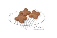 Royal Canin Mini Adult Köpek Maması 4 Kg