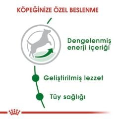 Royal Canin Mini Adult Köpek Maması 4 Kg