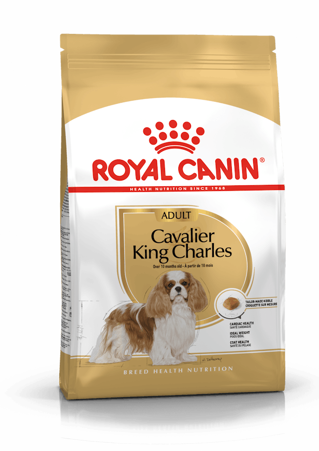 Royal Canin Cavalier King Charles  Yetişkin Köpek Maması 3 Kg