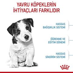 Royal Canin Mini Puppy Köpek Maması 2 Kg