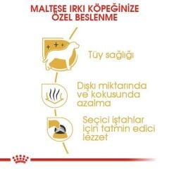 Royal Canin Maltese  Yetişkin Köpek Maması 1,5 Kg