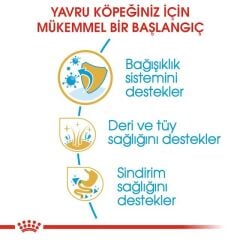 Royal Canin Cocker Junior Yavru Köpek Maması 3 Kg