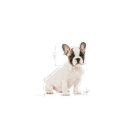 Royal Canin French Bulldog Junior Yavru Köpek Maması 3 Kg