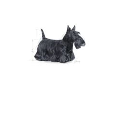 Royal Canin Ccn Mini Derma Yetişkin Köpek Maması 3kg