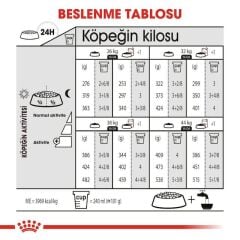 Royal Canin Maxi Dermacomfort Köpek Maması 12 Kg