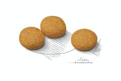 Royal Canin Medium Dermacomfort Köpek Maması 12 Kg
