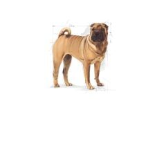 Royal Canin Medium Dermacomfort Köpek Maması 12 Kg