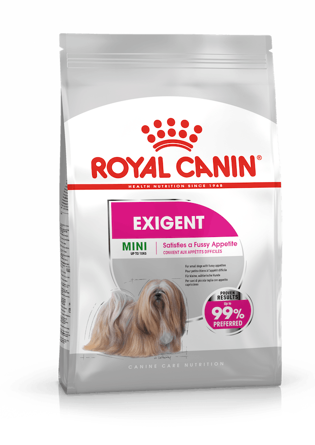 Royal Canin CCN Mini Exigent Köpek Maması 3 Kg