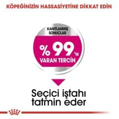 Royal Canin CCN Mini Exigent Köpek Maması 3 Kg