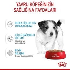 Royal Canin Pouch Puppy Mini Yavru Köpek Yaş Maması 85 Gr (12 Adet x 85 Gr)