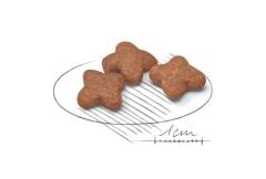 Royal Canin Mini Adult 8+ Yaş İçin Küçük İrk Köpek Maması 2 Kg