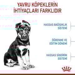 Royal Canin Maxi Puppy Büyük Irk Yavru Köpek Maması 15 Kg